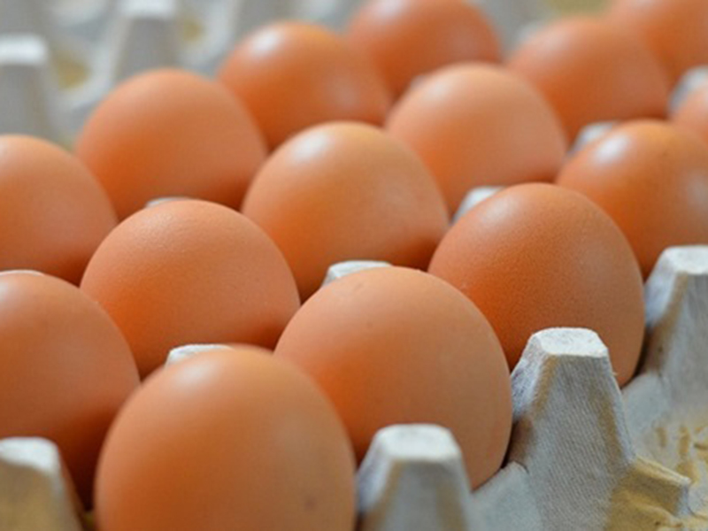 بالفيديو: نسي البيض في السيارة، وصُدم لحاله عند عودته!
